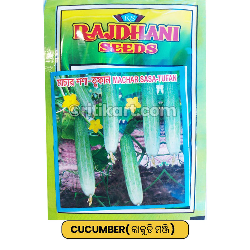 Cucumber Seeds for Gardening at Home