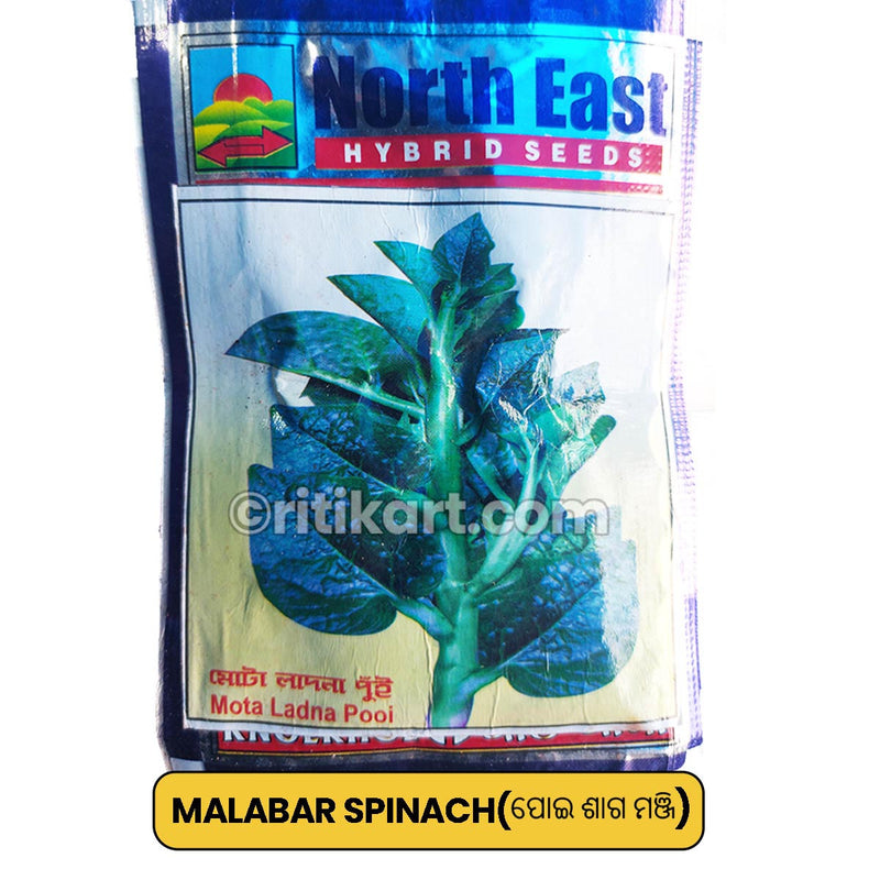 Malabar Spinach Seeds for Gardening at Home