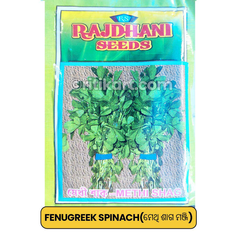 Fenugreek Spinach Seeds for Gardening at Home
