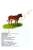 Mayura Puchchha By Minakshi Mishra (Mor Pankh).