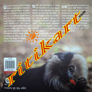 Lima: A Day in the Life of a Lion-tailed Macaque by Anita S
