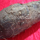 Yam (ମାଟି ଆଳୁ ) 