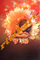 Shiridiru Puttaparthi by Gorachand Mishra