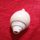 Puja Blowing Shankh White