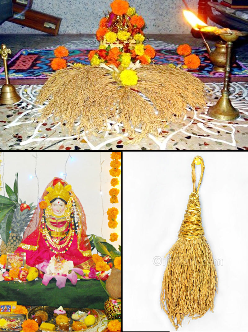 Decorative Paddy Bunch for Puja (Dhana Menta) pic-2