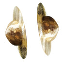 Bronze Pooja Jhanja Gabu pic-1