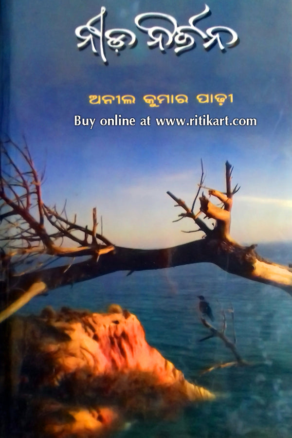 Nida Nirjana By Anil Kumar Padhi