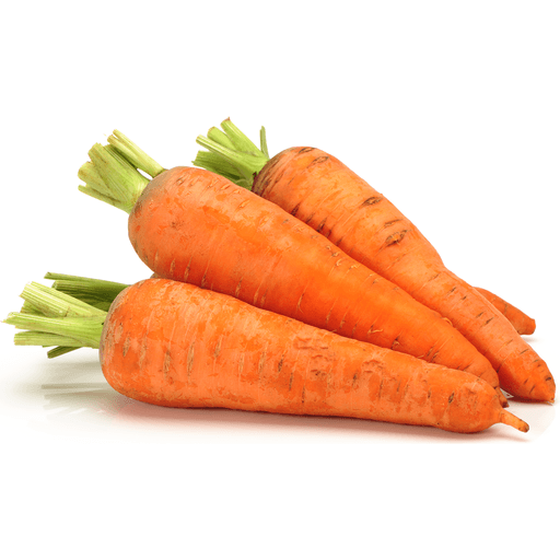 Carrot Regular