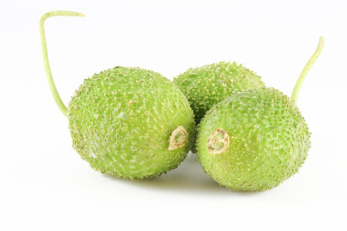Kankada Buy Online Spiny Gourd or Kankada in Bhubaneswar -Ritikart