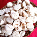 Keonjhar Special Plain Badi