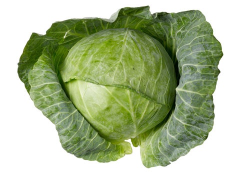 Cabbage or Bandh Gobi