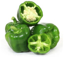 Capsicum or Shimla Mirch