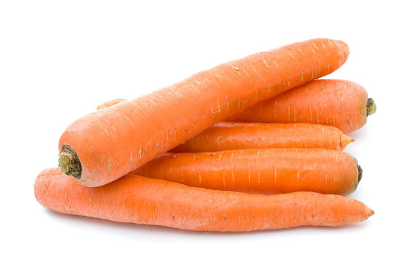 Carrot Regular