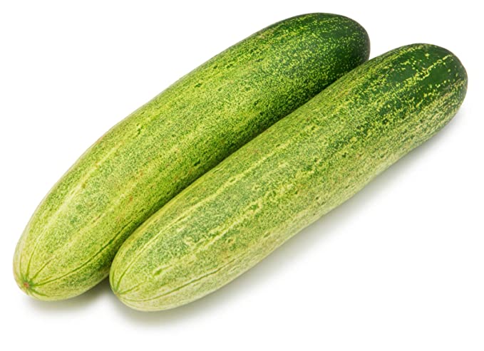 Cucumber or Kakudi