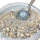 Special Odisha Jhuna pic-1