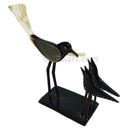 Cow Horn Bird With Two Chicks_3