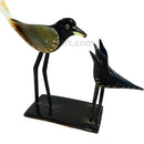 Cow Horn Bird With Two Chicks_2