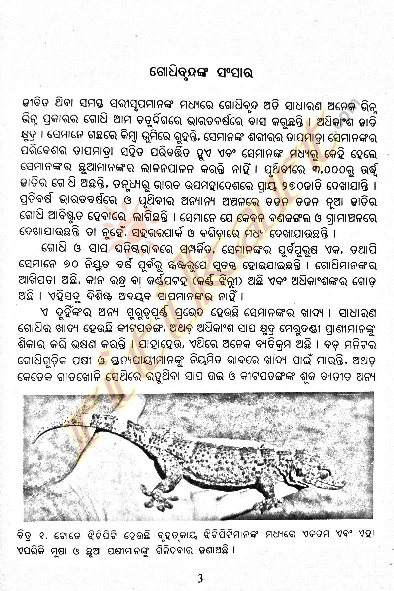 Odia Children Book - Godhibrunda by Gadadhar Mishra