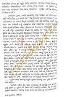 Brundabanara Seshadhupa By Mohapatra Nilamani Sahoo