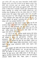 Brundabanara Seshadhupa By Mohapatra Nilamani Sahoo
