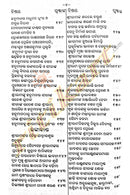 Shree Ramaleela Odia Book by Ananga Narendra