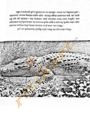 Odia Children Book - Kainchha o Kumbhiranka Duniya