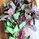 Mix Amaranth Green Leaves Seeds