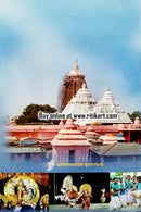 Odishara Parba Parbani Janijatra O Osha Bratra-p6