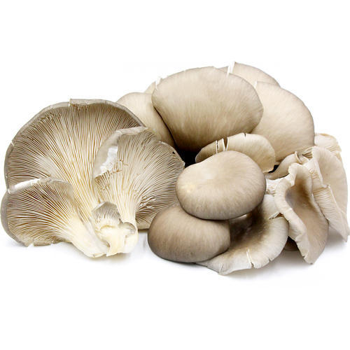 Paddy Straw Mushroom