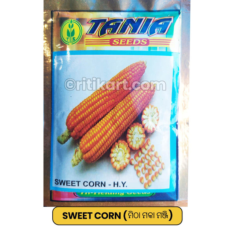 Sweet Corn Seeds for Gardening at Home
