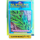Cluster Bean Seeds