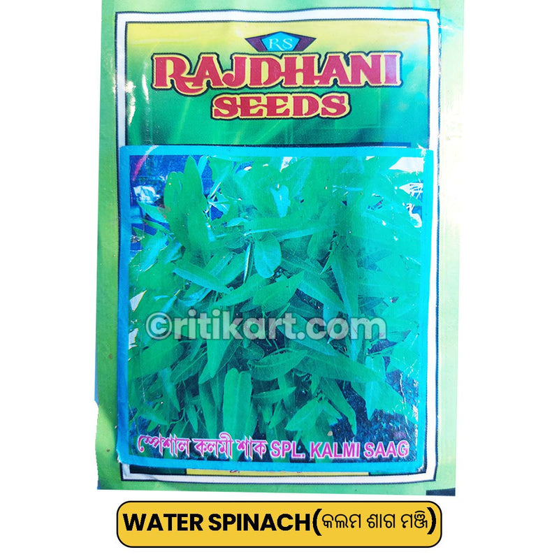 Water Spinach Seeds for Gardening at Home