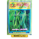 Beans Seeds for Gardening at Home