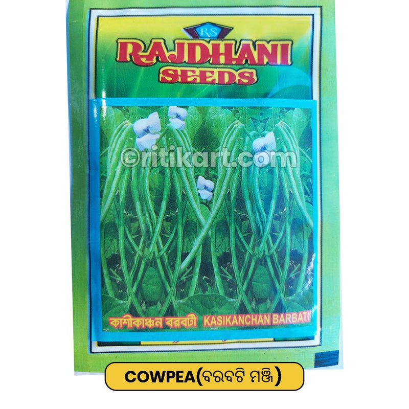 Cowpea Seeds for Gardening at Home
