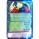 Broad Beans Seeds for Gardening at Home