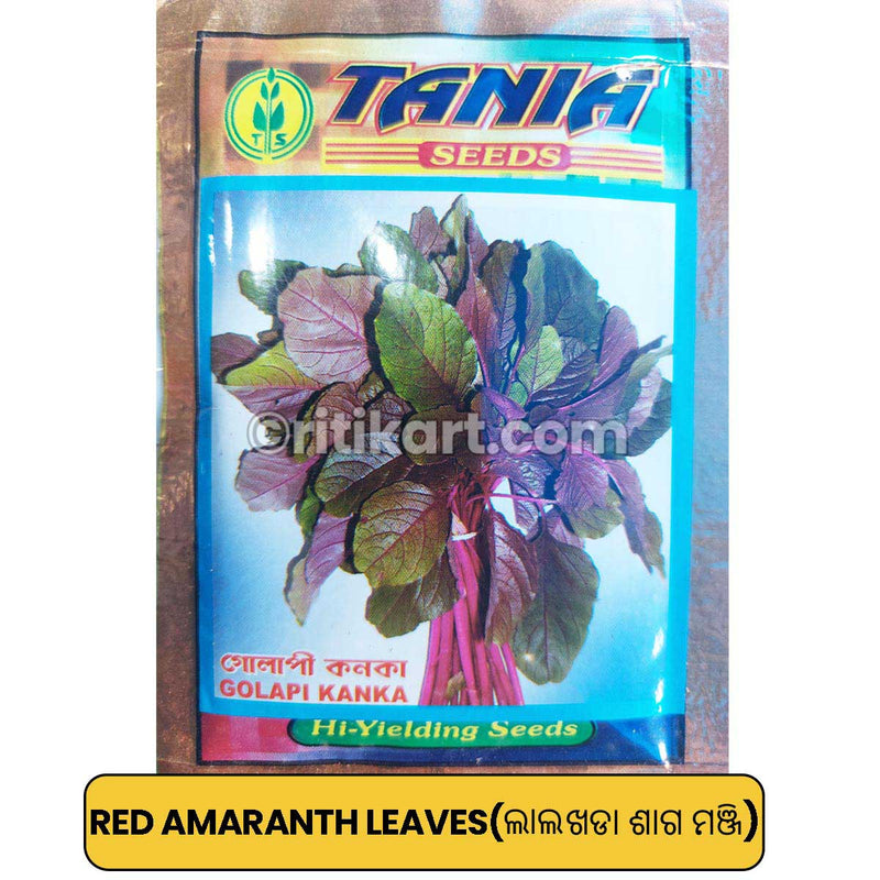 Red Amaranth Seeds for Gardening at Home