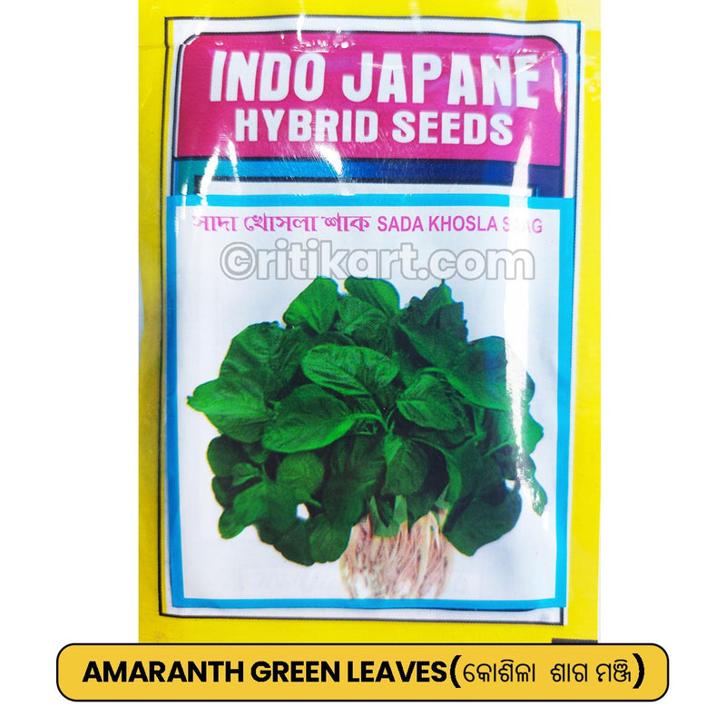 Amaranth Green Leaves Seeds for Gardening at Home