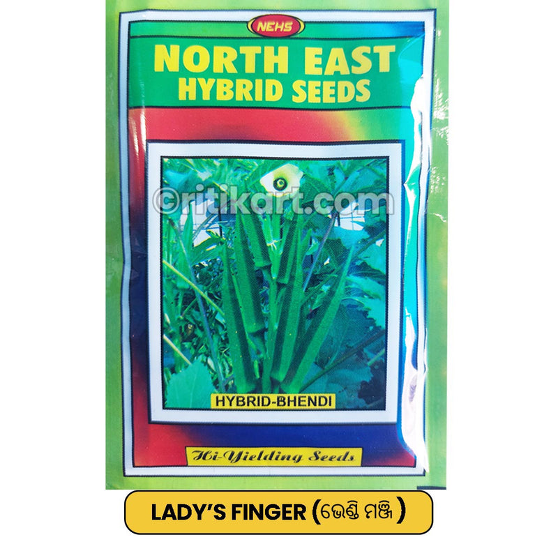 Lady's Finger Seeds for Gardening at Home