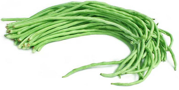Cowpea Beans or Barbati/Jhudanga