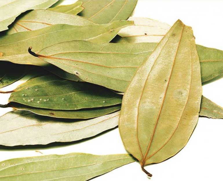 Bay leaf Dry (50 gm)