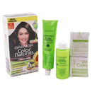Garnier Color Naturals Creme Riche Ammonia Free Hair Color