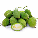 Spiny Gourd or Kankada