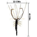 Horn Craft- Wall Hanging Prawn