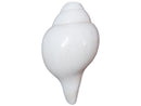 Puja Blowing Shankh White Medium Size pic-3