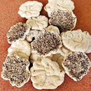 Keonjhar Special Phula Badi pic-1