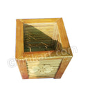 BambooBhadrak1026-pic2