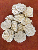 Keonjhar Phula Badi (with Khasa Mix) pic-3