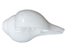 Puja Blowing Shankh White Medium Size pic-2