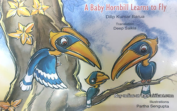 A Baby Hornbill Learns to Fly
