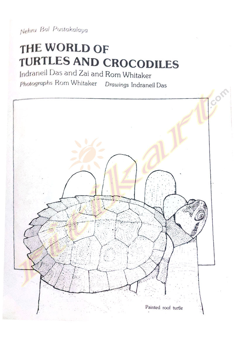 The World of Turtles and Crocodiles